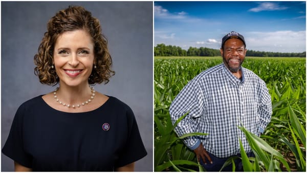 REPORTING: A Second Poll Shows Jamie Davis Within 4 Points of Julia Letlow In the Louisiana U.S. Senate Race